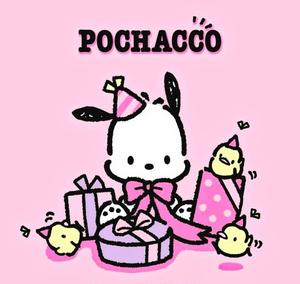 Pochacco With The Pi-Chans pochacco wallpaper