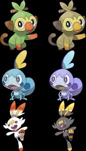 Pokemon Gen8 Startersand Shiny Variants pokemon wallpaper