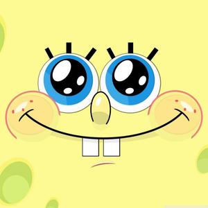 Poor Spongebob spongebob wallpaper