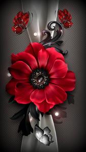 Poppy Anemone Flower Mobile flower mobile wallpaper