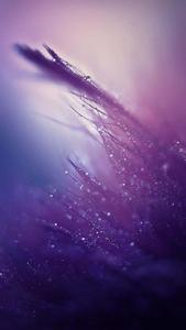 Pretty Cute Phone - Get Ready to Look Stylish pretty cute phone wallpaper