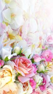 Pretty Phone Colourful Flowers pretty phone wallpaper