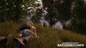 pubg - battlegrounds - screenshot pubg wallpaper