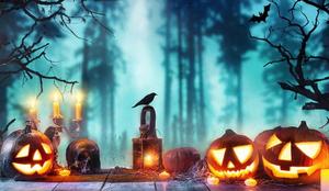 Pumpkin Forest Halloween Pictures halloween wallpaper