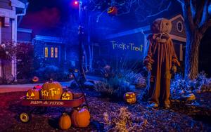 Pumpkin Guy Halloween Pictures Wallpaper