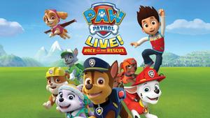 Pup Power: Join the Paw Patrol and keep your community safe! paw patrol wallpaper