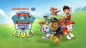 Pups to the Rescue! paw patrol wallpaper