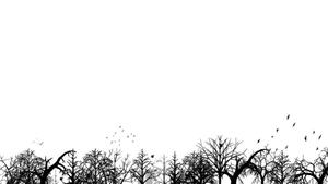 Pure and serene, white aesthetic provides tranquility. white aesthetic wallpaper