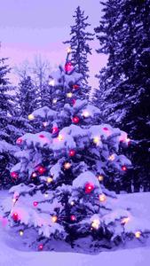 Purple Pine Tree Christmas IPhone christmas iphone wallpaper