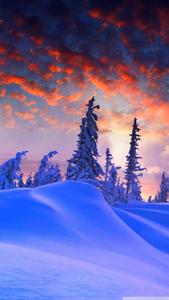 Purple Snow And Trees Winter iPhone winter iphone wallpaper