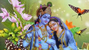 Radha Krishna 3D Butterflies And Flowers radha krishna 3d wallpaper