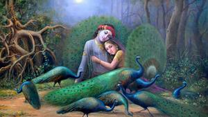 Radha Krishna 3D Family Of Peacocks radha krishna 3d wallpaper