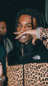 Rapper Playboi Carti PFP playboi carti pfp wallpaper