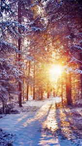 Ray Of Sun Winter Iphone winter iphone wallpaper