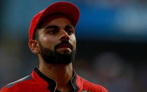 RCB Cricket Team Batter Virat Kohli rcb wallpaper
