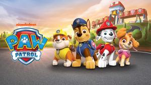 Ready for Adventure - the Paw Patrol is on the Scene! paw patrol wallpaper