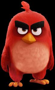 Red Angry Bird Character Wallpaper