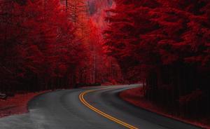 Red Fall Aesthetic Road fall aesthetic wallpaper