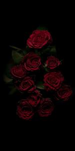 Red Roses In Black Aesthetic Background black aesthetic wallpaper