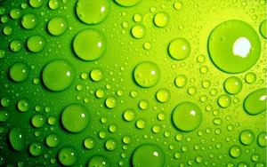 Reflection of Green in Aqueous Droplets Wallpaper