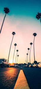 Refresh the summer vibes with an iPhone summer iphone wallpaper