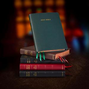 Rejoice in the Stories of the Bible  Wallpaper