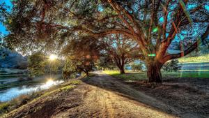 Rejuvenate in Nature’s Summertime Splendor 8k wallpaper