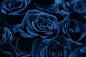 Relax and Breath in this Peaceful Blue Aesthetic blue aesthetic wallpaper