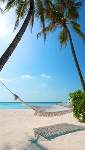Relaxing and Unwinding in Paradise beach wallpaper