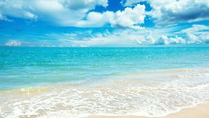 Relaxing at the beach, enjoying the summer sun summer wallpaper