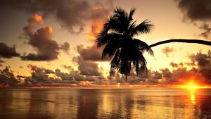 Relaxing Beach Sunset  Wallpaper