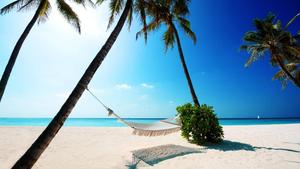 Relaxing in a hammock and taking in the amazing view of the Summer beach summer wallpaper