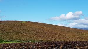Reliving a Memorable Moment - The Windows XP Wallpaper windows xp wallpaper