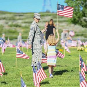Remembering Those Who Fought Bravely memorial day wallpaper