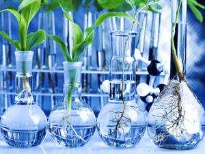 Researching the Future of Science and Technology  Wallpaper