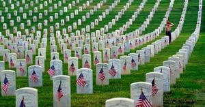 Respect for our Veterans on Memorial Day memorial day wallpaper