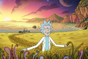 rick and morty in a field with a sunset rick and morty wallpaper