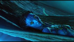 Rise, Fall and Evolution of Avatar avatar wallpaper