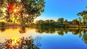 River And Trees Nature nature wallpaper