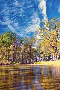 River During Summer Nature Picture nature wallpaper