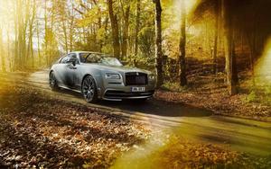 Rolls Royce Autumn Forest rolls royce wallpaper