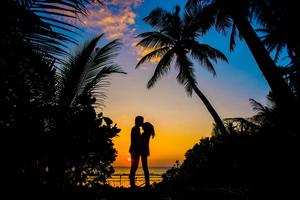 Romantic Love Coconut Trees romantic love wallpaper
