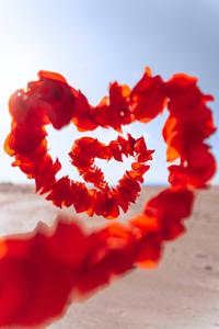 Romantic Love Heart Petals romantic love wallpaper