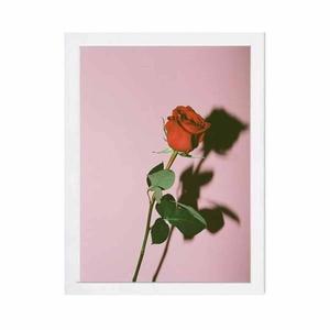 Rose As PFP Aesthetic Background pfp aesthetic wallpaper