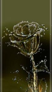 Rose Water Flower Mobile flower mobile wallpaper