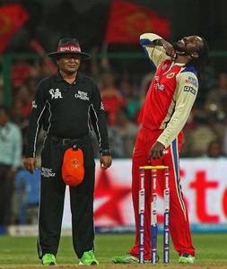 Royal Challengers Bangalore Chris Gayle royal challengers bangalore wallpaper