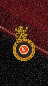 Royal Challengers Bangalore Lion Emblem rcb wallpaper