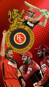 Royal Challengers Bangalore Team Celebrates A Victory rcb wallpaper