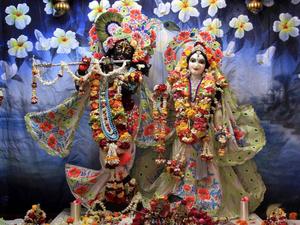 Sacred Divine Love - Radha and Krishna with Plumeria Flowers iskcon wallpaper