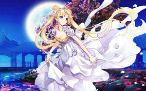 • "Sailor Moon and Friends, Ready for Action!" sailor moon wallpaper
